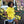Load image into Gallery viewer, Passion Purpose Power Peace Shirt (Yellow)
