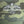 Load image into Gallery viewer, S.J. Logo Midweight Fleece Joggers (Camo)
