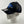S.J. Logo Hat (Flexfit) Black/Volt Blue/White