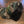 Load image into Gallery viewer, S.J. Trucker Hat (Camo/ Neon Yellow)
